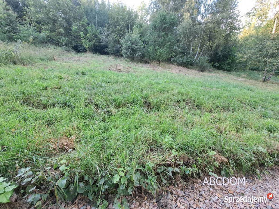 Nielepicedzialka budowlana w otoczeniu zieleni sprzedam
