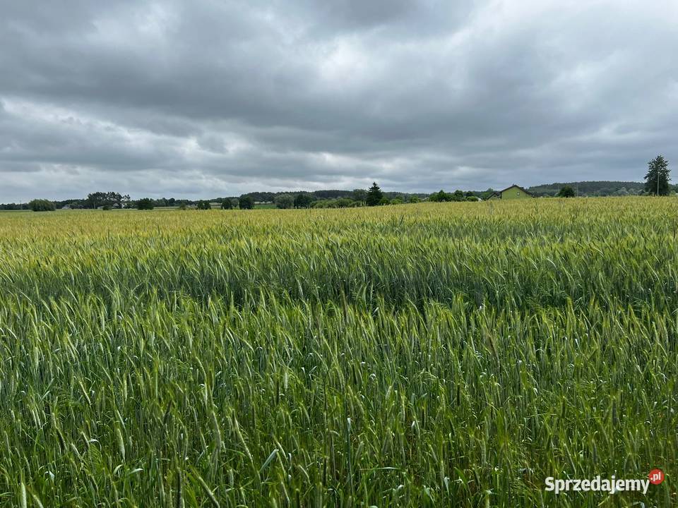 Działka budowlana z dostępem do jeziora Rumunki Witkowskie sprzedam