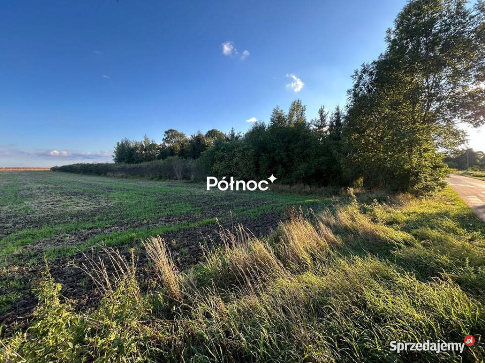 Działka 1780m I MPZP I POPŁAWY gm Stara Kornica asfalt mazowieckie Popławy sprzedam