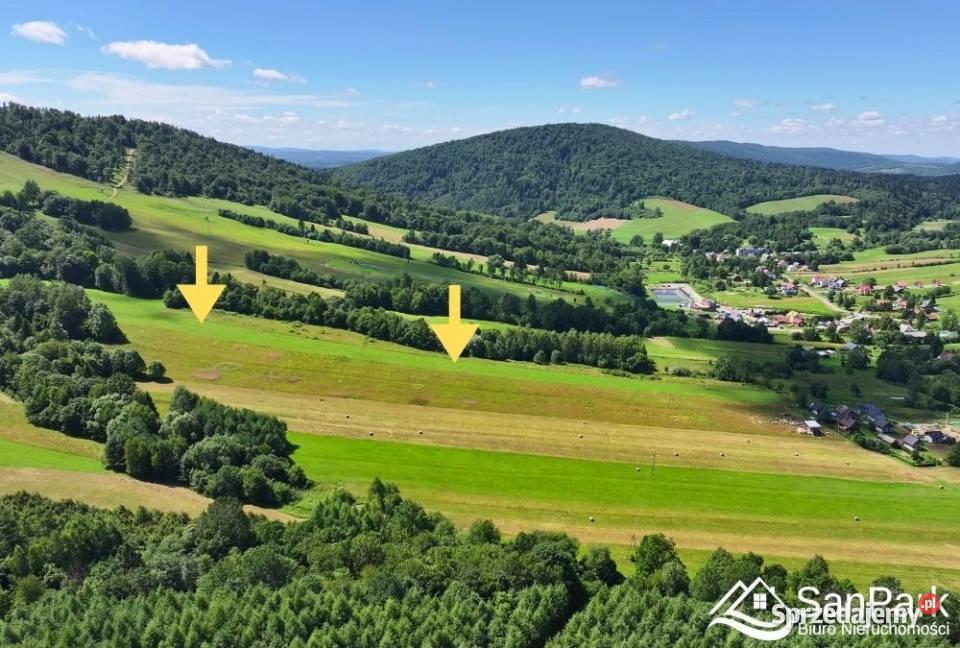 Działka Olszanica 22000m 25zł/m2 podkarpackie