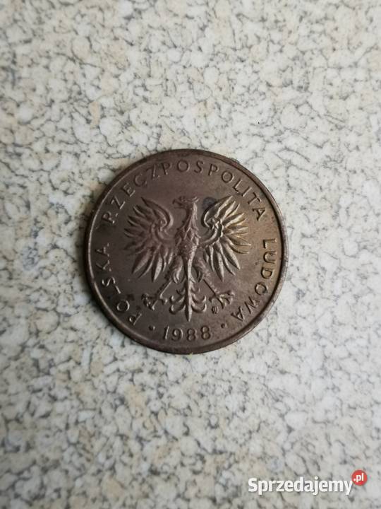 PIĘĆ ZŁOTE podkarpackie