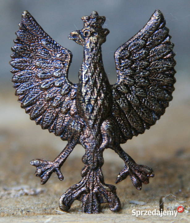 Orzełek Wielkopolski Augustów