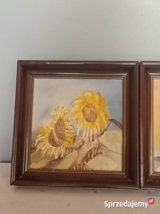 Obrazkikwiaty Wyposażenie wnętrz Łódź