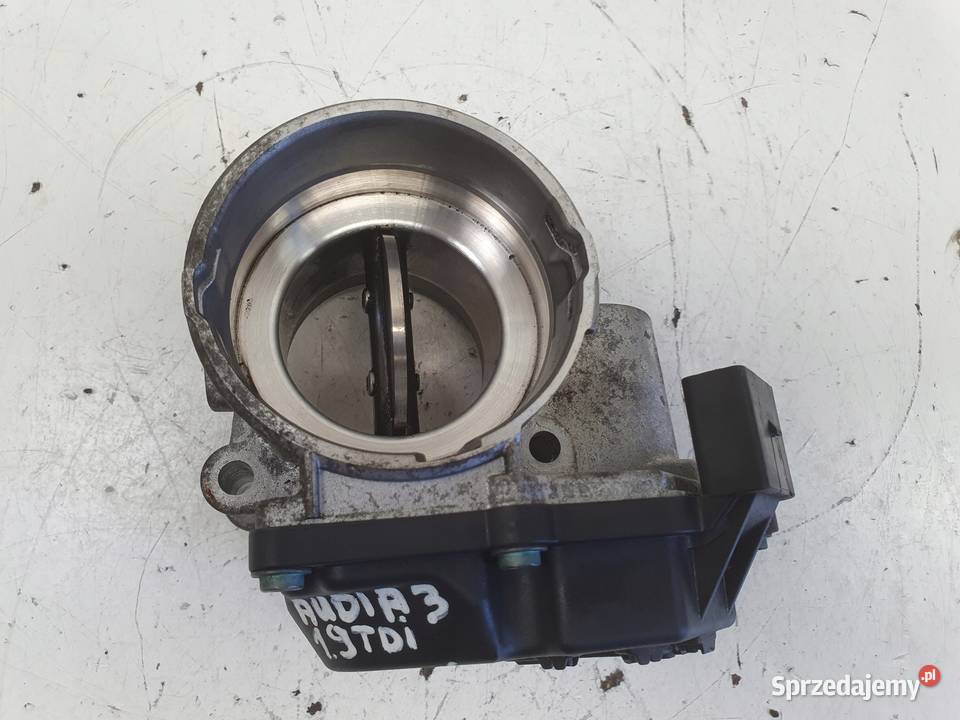 PRZEPUSTNICA Audi A3 II 8P 19 TDI A2C53380146 Chełm