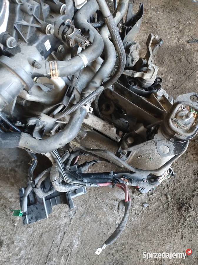 Skrzynia Biegów 1616v 0512r Renault Modus Rok produkcji 2006