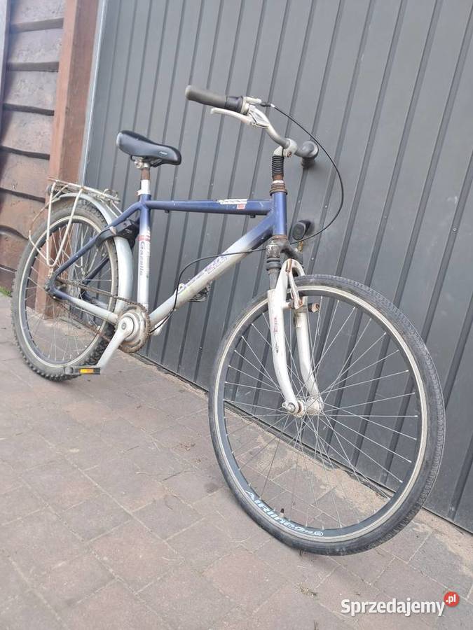 Rower gazelle gazela