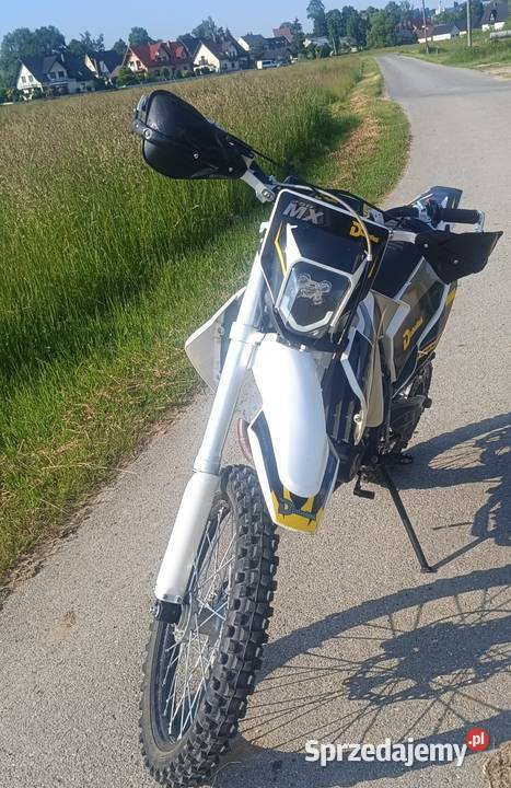 Diabolini x 5 250 Pozostałe małopolskie Jabłonka sprzedam