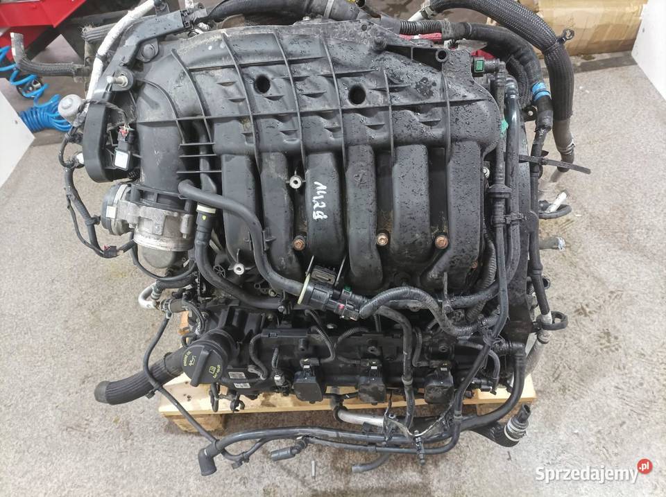 SILNIK KOMPLETNY BENZYNA P68233205AC 36 świętokrzyskie