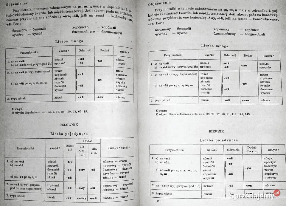 Praktyczna gramatyka rosyjska S Karolak M Chełm