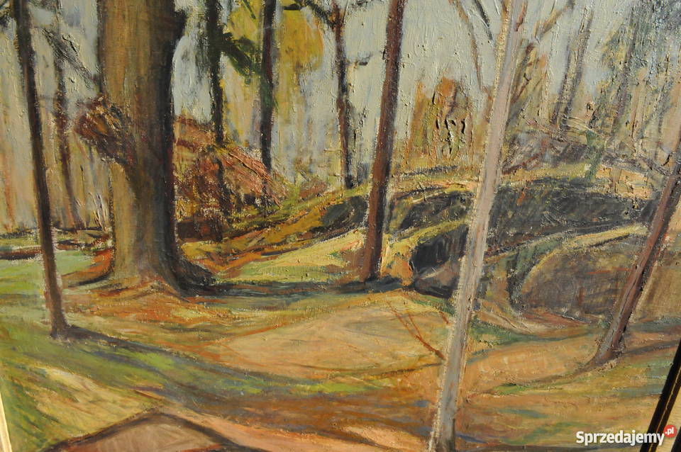 Wielki piękny pejzaż antyk Wrocław