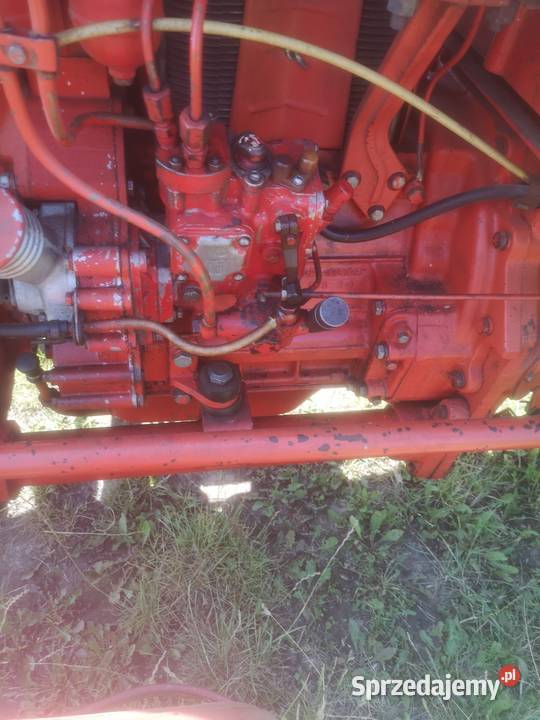 Władimirec t25 Sandomierz