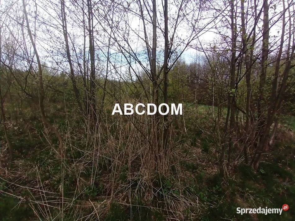 Raciborsko 39 ara łąki Tereny Z las Tereny ZL Sprzedaż
