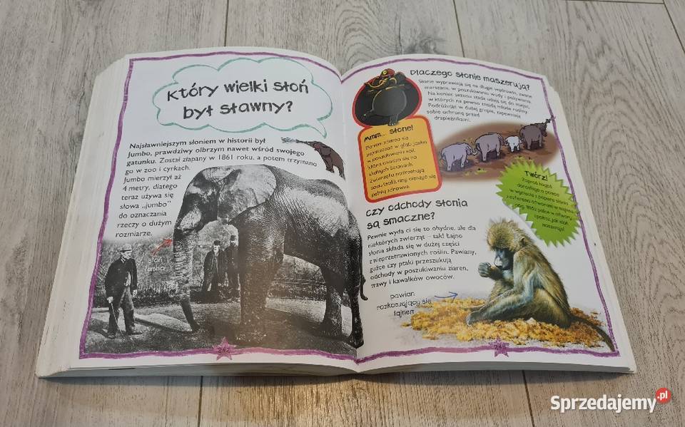 Książka Zwierzęta pytania i odpowiedzi Łódź