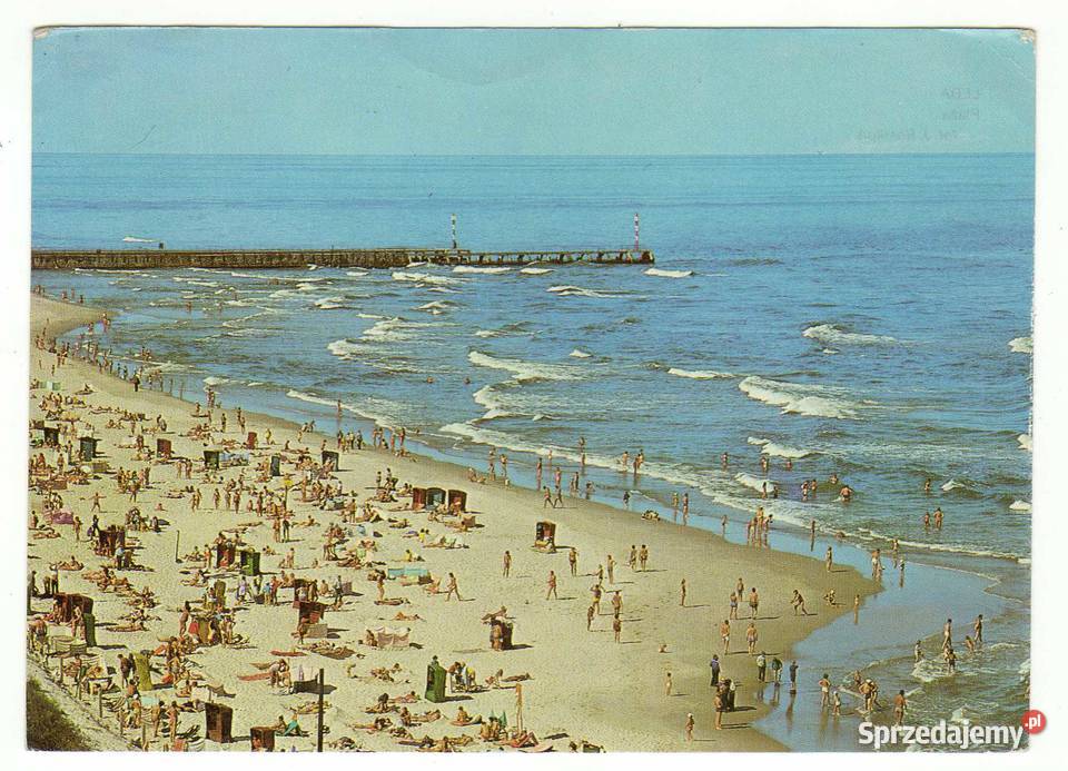 ŁEBA PLAŻA Krynki sprzedam