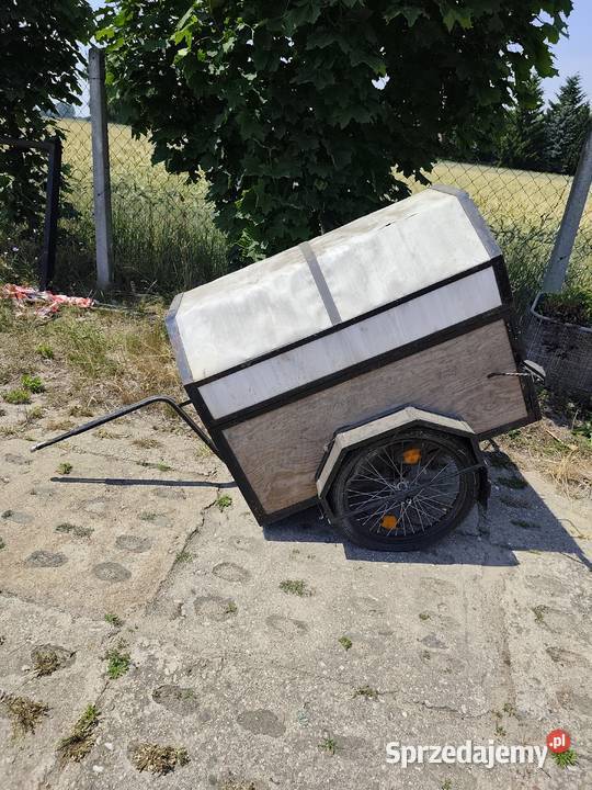 Wózek Do Roweru Transportowy Poddębice