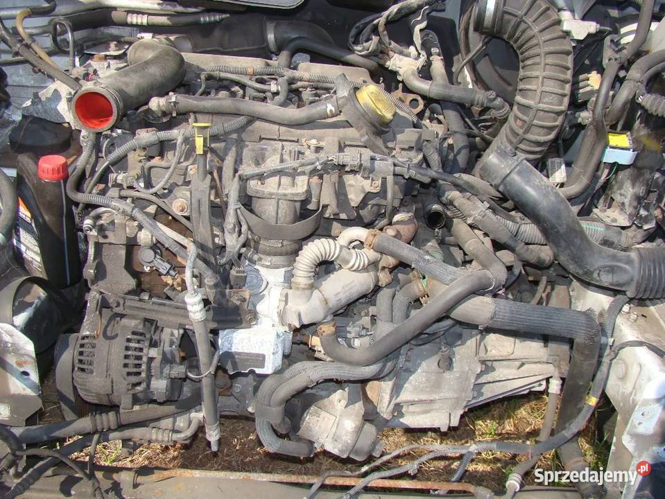BAGNET MIARKA POZIOMU OLEJU OPEL VIVARO RENAULT Parcice