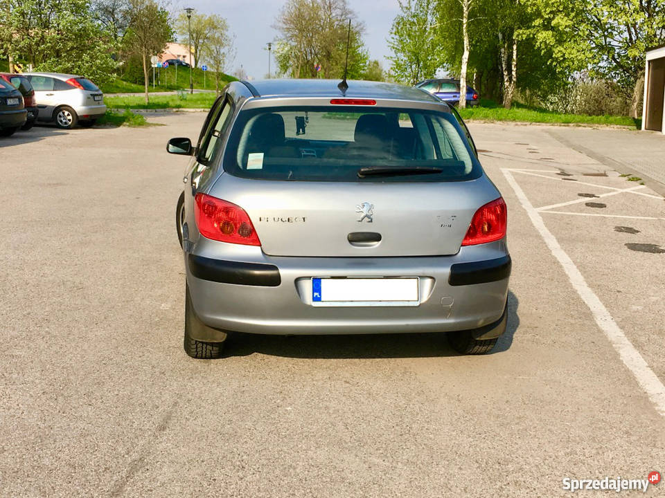 Peugeot 307 20 HDI 90 Bez DPF i dwumasa Bogata świętokrzyskie