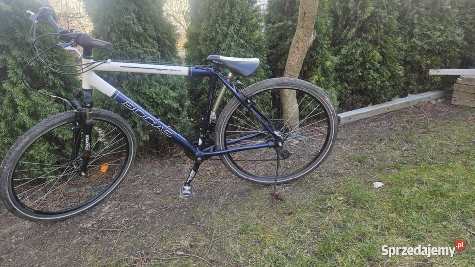 Rower męski 28