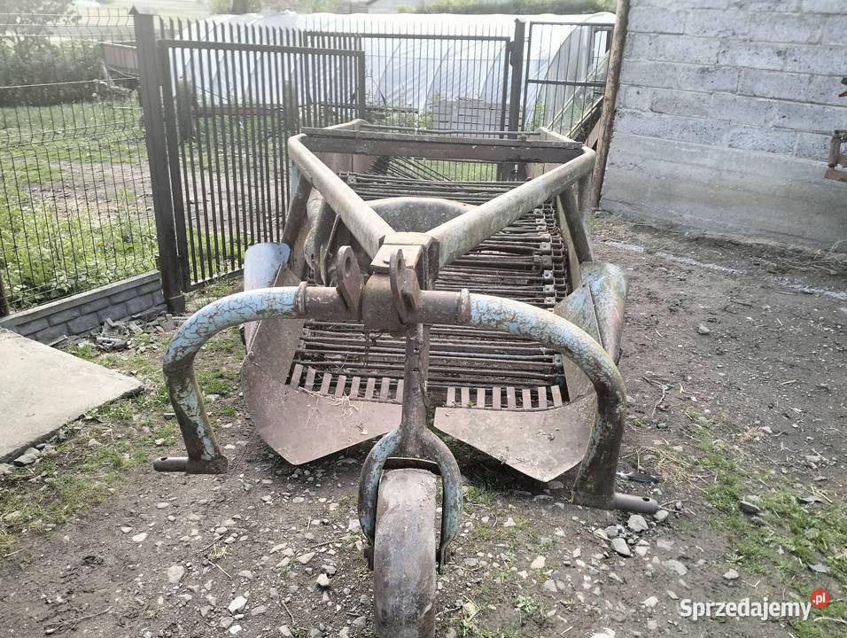 Sprzedam kopaczkę elewatorowa Kopaczki