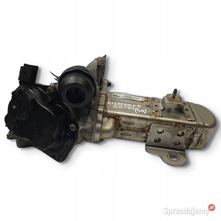 CHŁODNICA SPALIN Citroen C5 III 20 HDI V29004027 Części samochodowe Chełm sprzedam