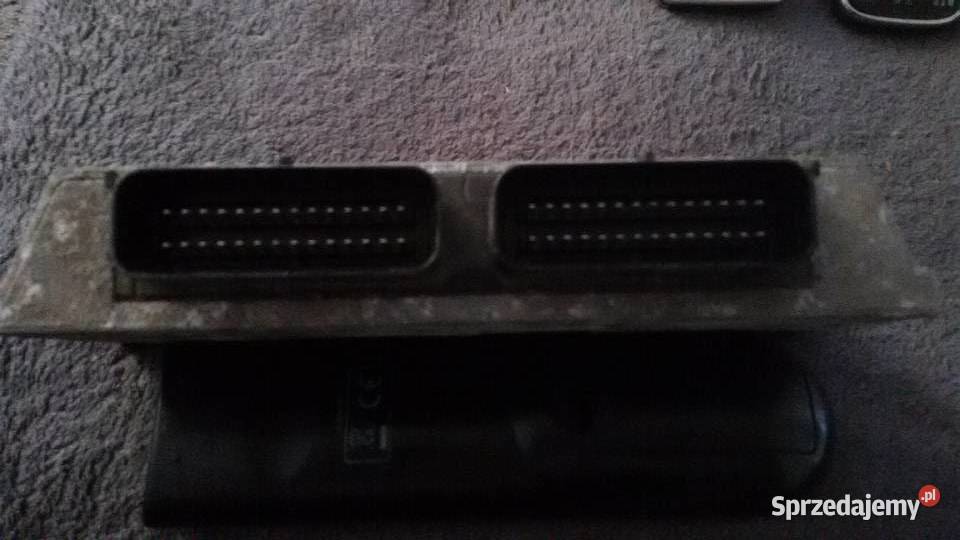 STEROWNIK GAZU STAG 3006 PLUS Komputery Elbląg sprzedam