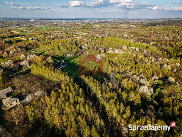 Grunt Kraczkowa 33000m2 sprzedam