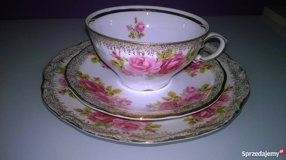 wspaniałe róże winterlinga Katowice