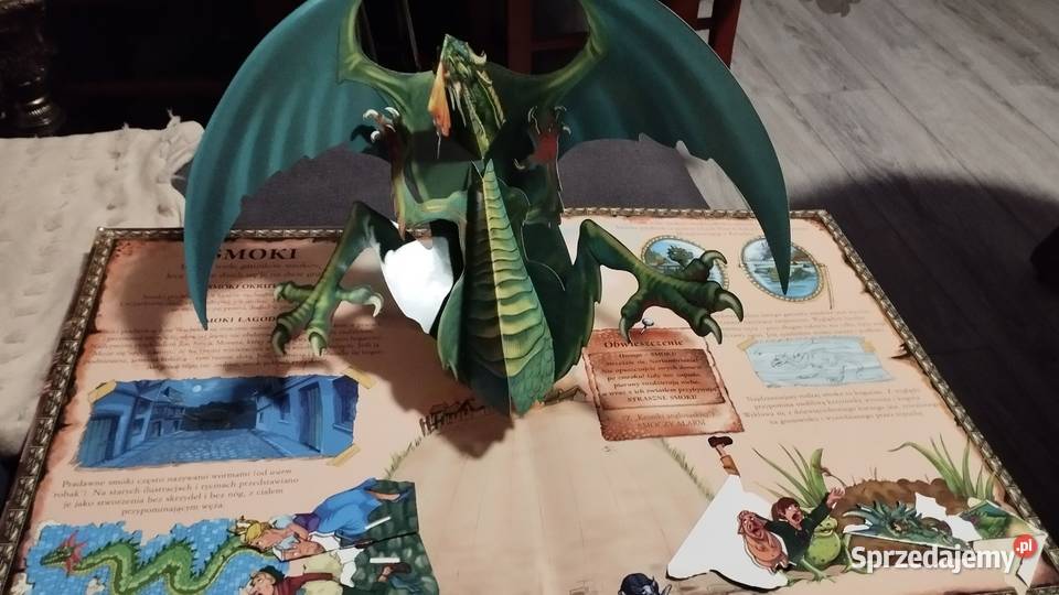 wielka księga smoki w środku plakietki Książki dla dzieci Poznań