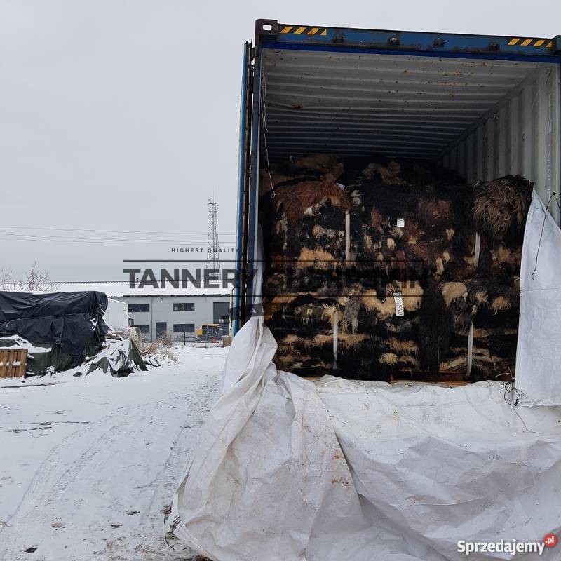 Tannery sheepskin poland sheepskin sheepskin Dywany i wykładziny Szaflary