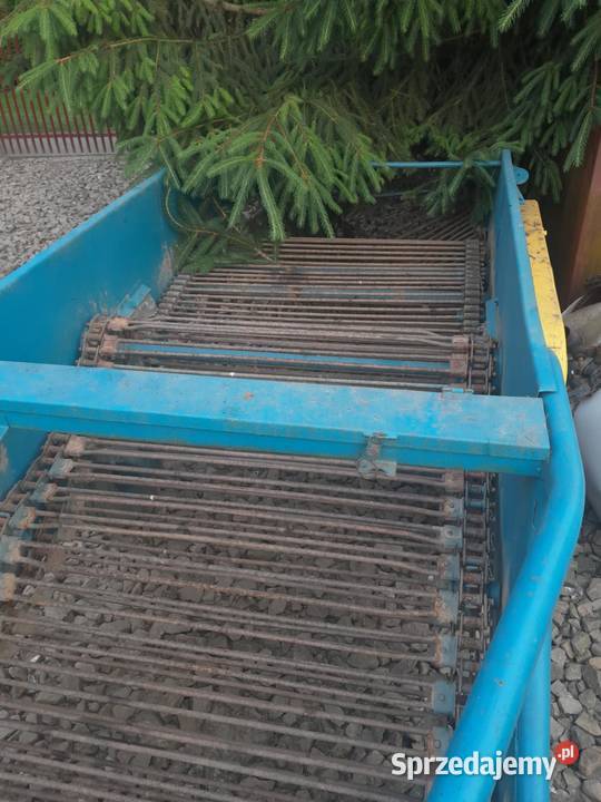 Kopaczka elewatorowa Niedomice