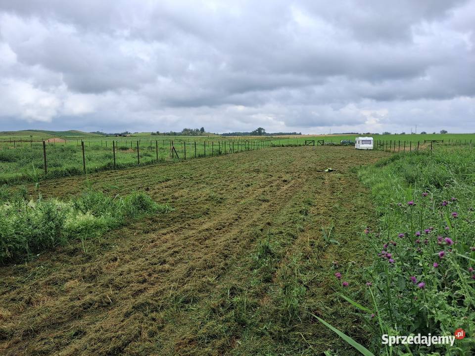 Piłowanie Rabanie drewna Suwałki prace ogrodowe