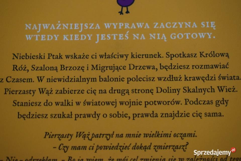 Wojownik słońca Beata Pawlikowska kujawsko-pomorskie