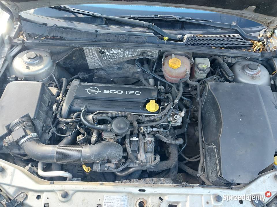 Części do Opel SIGNUM 222B 16V Z22YH 2004 Z167 155KM Grudziądz