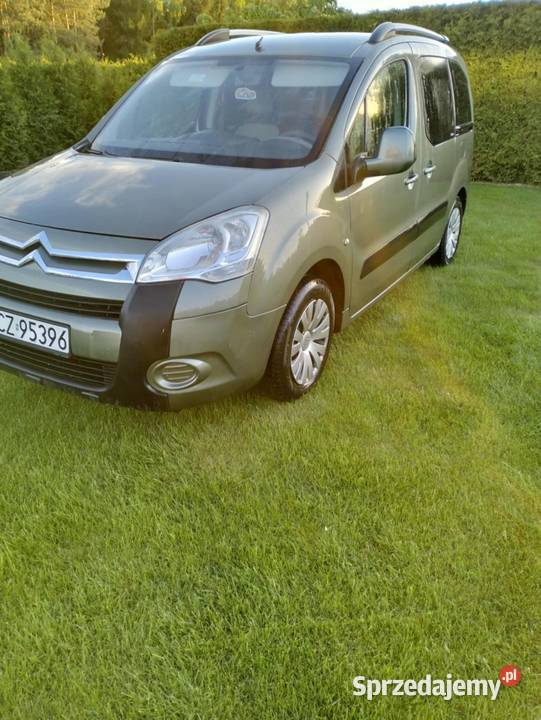Citroen Berlingo Multispace śląskie Wola Hankowska