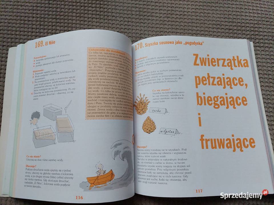 365 eksperymentów na każdy dzień roku Popularnonaukowe Kraków sprzedam