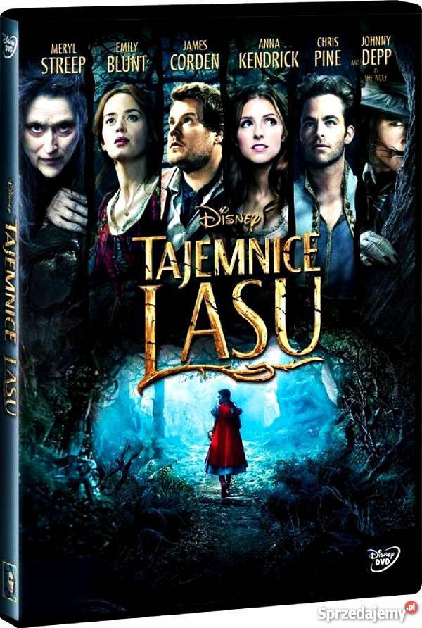 TAJEMNICE LASU MERYL STREEP DISNEY fantasy Kalisz sprzedam