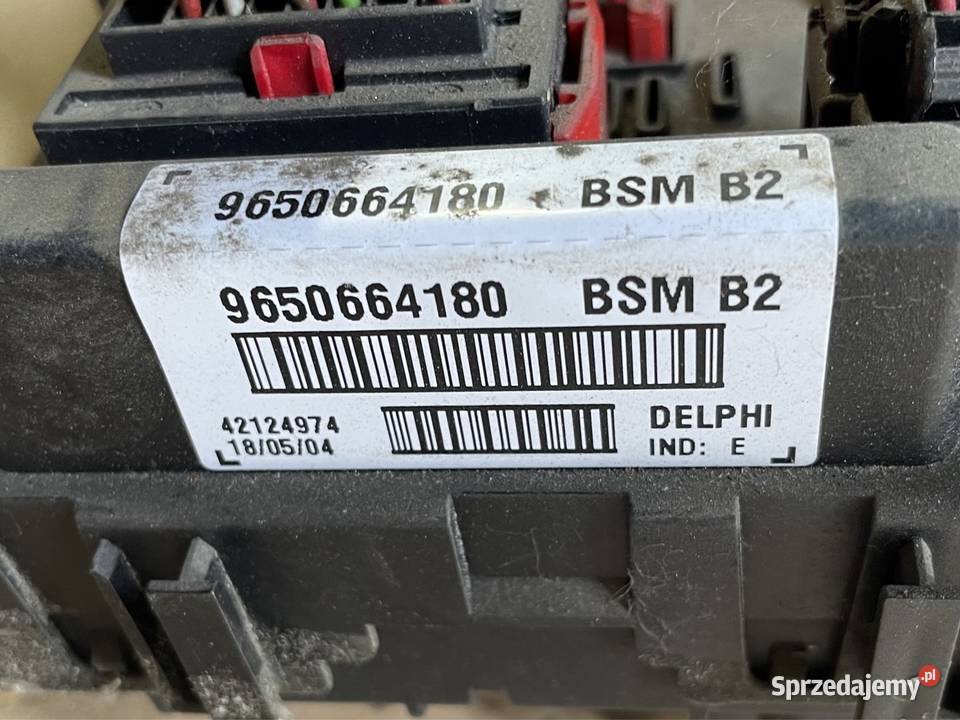 9650664180 sterownik bsm b2 Peugeot 307 Citroen zachodniopomorskie Szczecin sprzedam