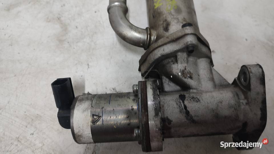 KIA CEED I 0612 20 CRDI EGR CHŁODNICA SPALIN osobowe Włoszczowa