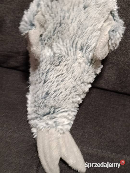 zabawka pluszowa maskotka pluszak foka kolejna Dla Dziecka Poznań