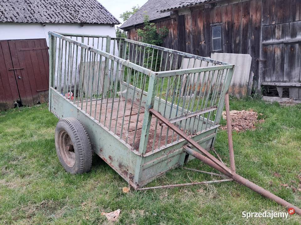wózek do przewozu zwierząt Opole Lubelskie