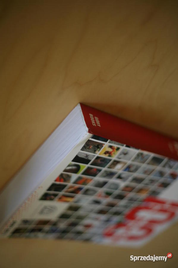 100 porad gór tom I red Piotr Drożdż Książki i Podręczniki Tychy sprzedam