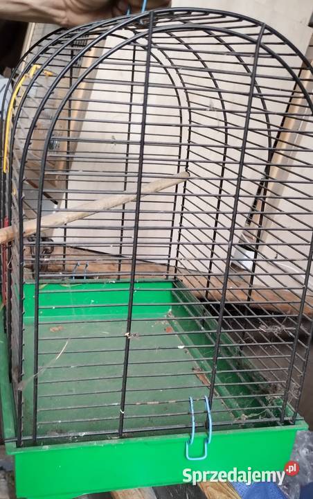 Klatka ptaków papugi kanarki zeberki podkarpackie Olimpów