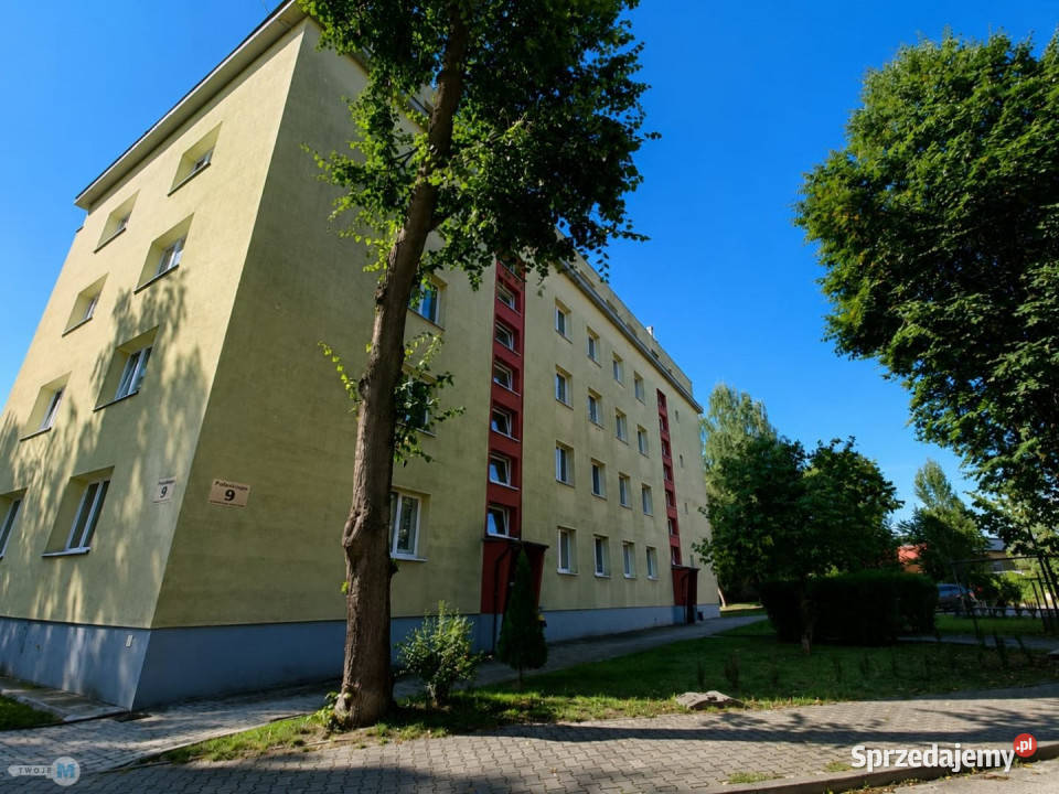 Mieszkanie sprzedam Kielce 5233m2 2 pokoje Rok budowy 1965