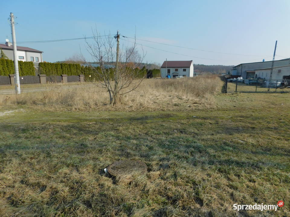 Syndyk sprzeda Mogielnica dz 16532 49zł/m2