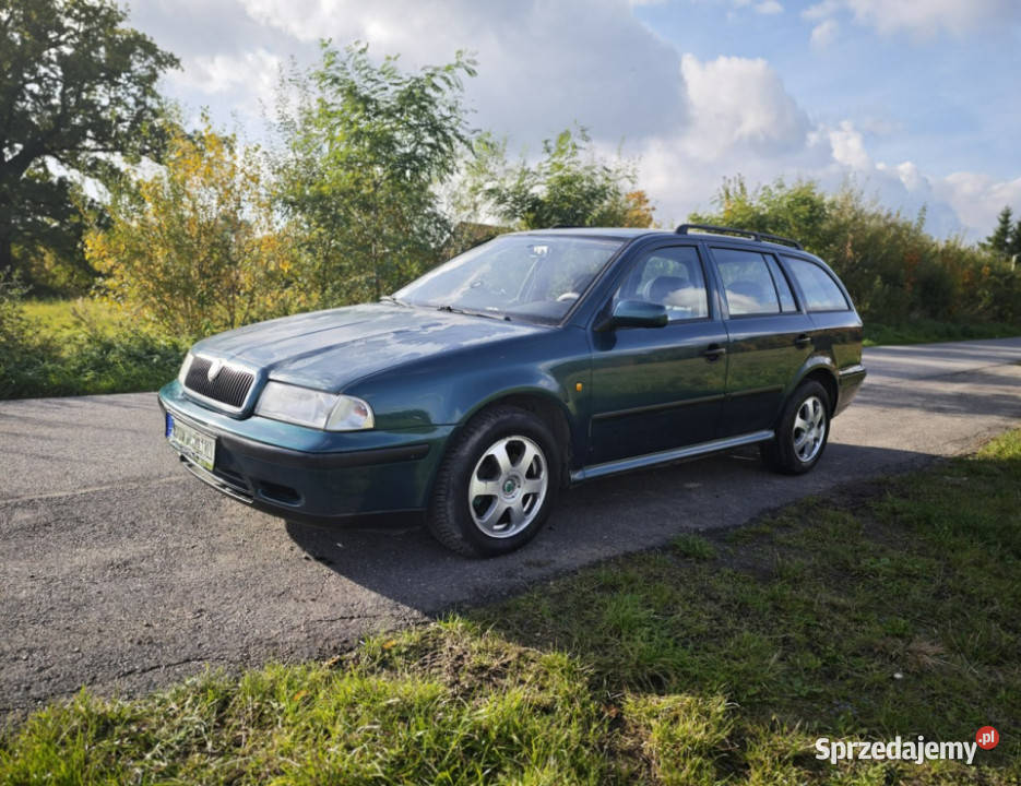 koda Octavia Octavia 19 TDI faktura 23 I nieuszkodzony Rząśnik
