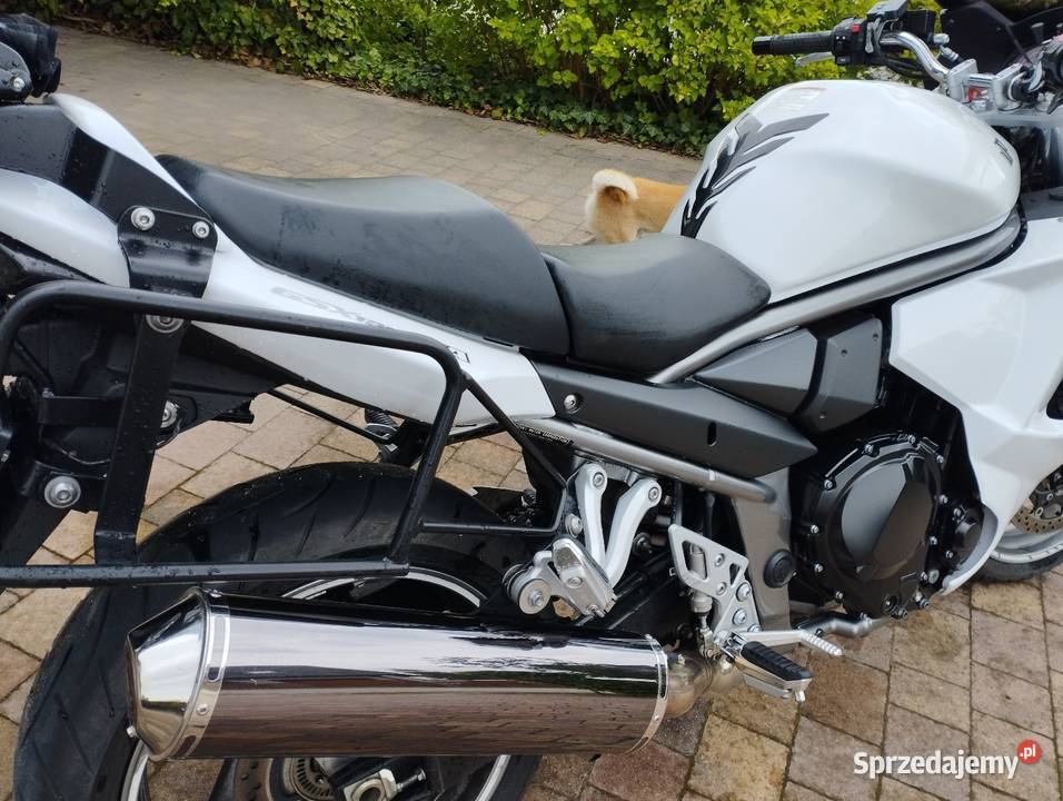 Suzuki Bandit 1250 FA Wrocław