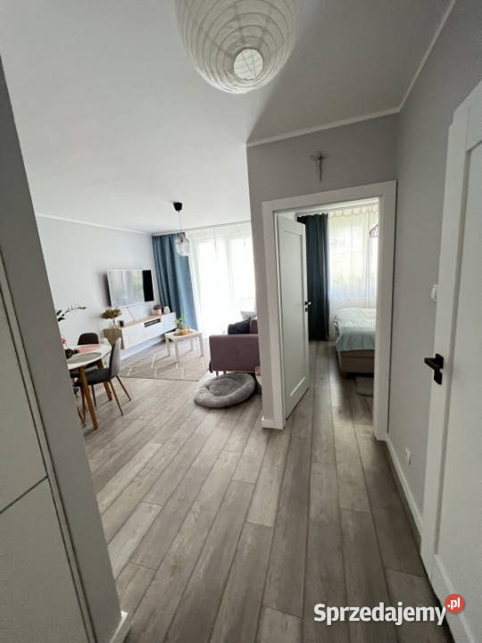 Do wynajęcia mieszkanie 2 pokojoweogródek Kraków małopolskie