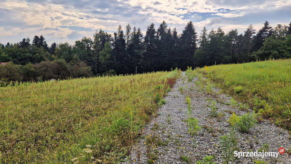 Działka 1204m2 Izdebnik sprzedam