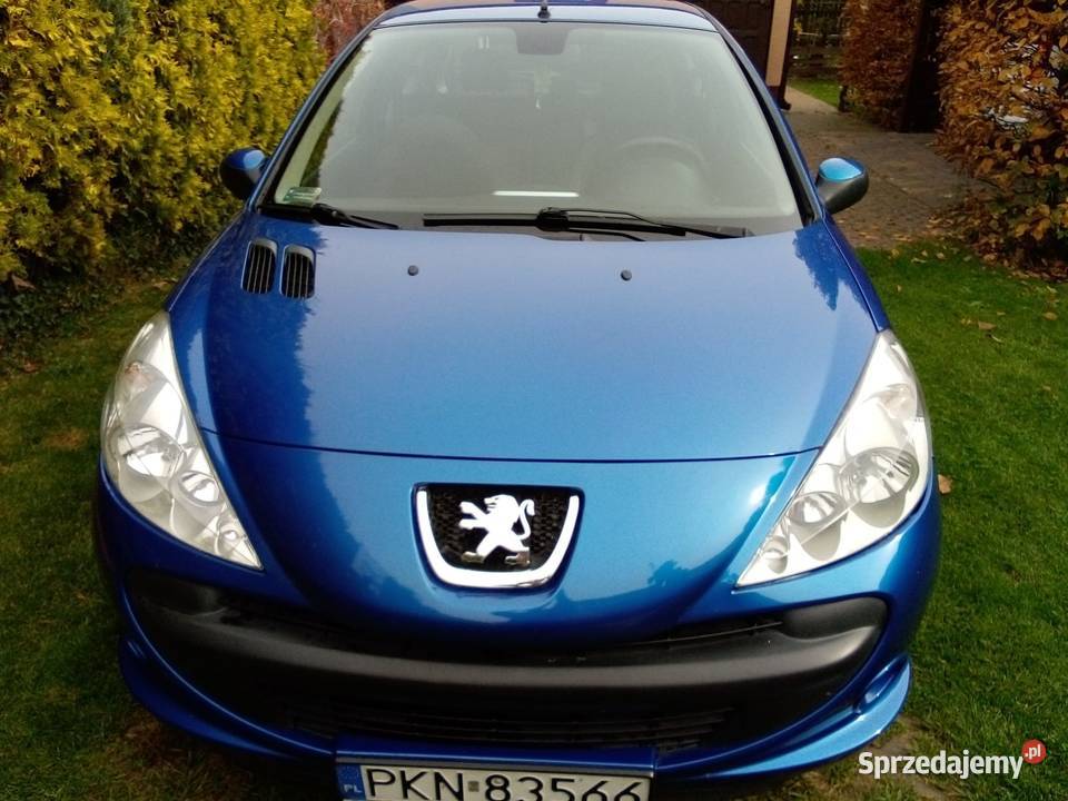 Peugeot 206 plus 5600 Żychlin sprzedam