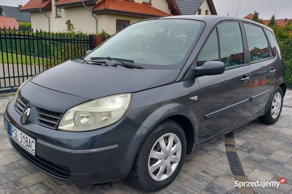 Renault Scenic II 16 nieuszkodzony wielkopolskie Strzałkowo